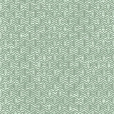 Kasmir WOVEN            SERENITY        