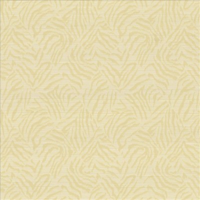 Kasmir Zibura OYSTER          