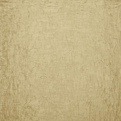 Kasmir ZOEY             CHAMPAGNE       