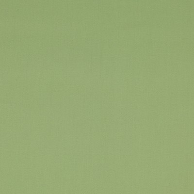 Manuel Canovas Nura Tilleul