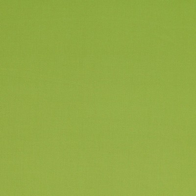 Manuel Canovas Nura Pistache