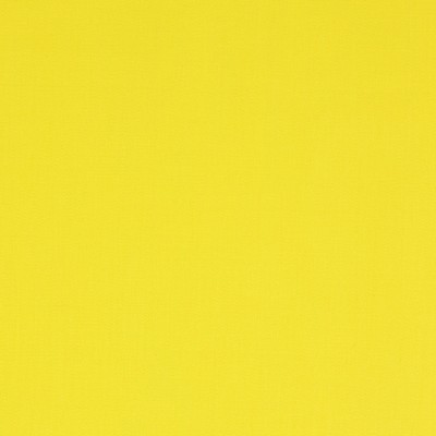 Manuel Canovas Nura Curry