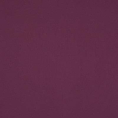 Manuel Canovas Nura Violine