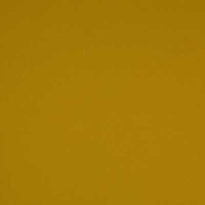 Manuel Canovas Nura Moutarde