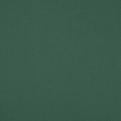 Manuel Canovas Nura Eucalyptus