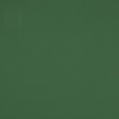 Manuel Canovas Nura Lichen