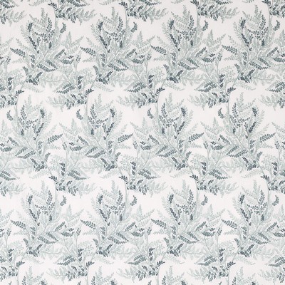 Manuel Canovas Faustine Glacier