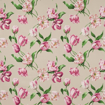 Manuel Canovas Polina Rose and Beige
