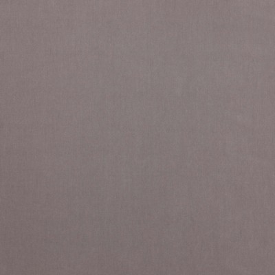 Jane Churchill Emile Dove