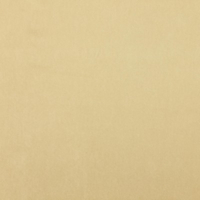 Jane Churchill Emile Platinum