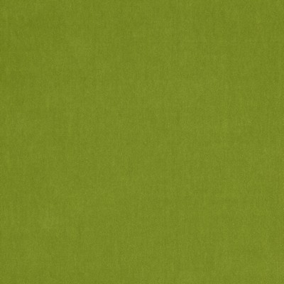 Jane Churchill Emile Grass Green