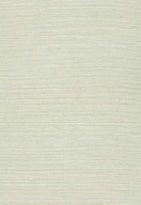 Schumacher Wallpaper AYAME SISAL AQUAMARINE