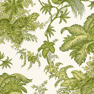 Schumacher Wallpaper COCONUT GROVE LEachF