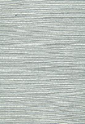 Schumacher Wallpaper HARUKI SISAL ROBINS EGG