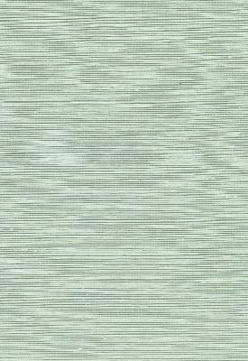 Schumacher Wallpaper HARUKI SISAL SEachGLASS