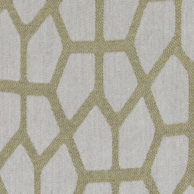 Highland Court HU16454         210