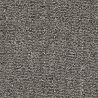 Highland Court HU15844 319-CHINCHILLA