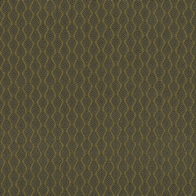 Highland Court HU16237 343-CACTUS