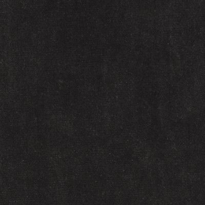 Highland Court HV15975 318-BARK