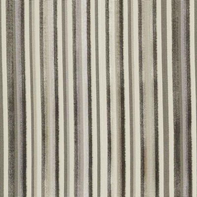 Highland Court HV15977 88-CHAMPAGNE