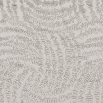 Highland Court HV16239 319-CHINCHILLA