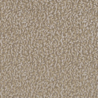 Highland Court HV16248 160-MUSHROOM