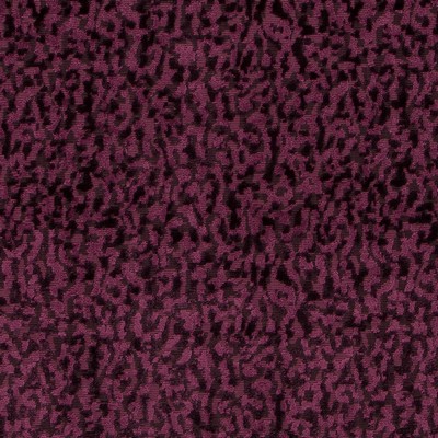 Highland Court HV16248 95-PLUM