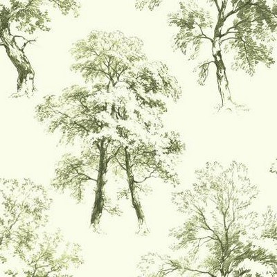 York Wallcovering Deciduous Wallpaper green/white