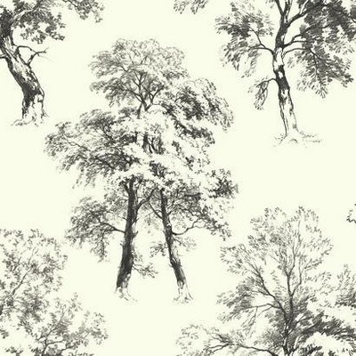 York Wallcovering Deciduous Wallpaper black/white