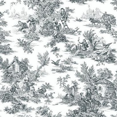York Wallcovering Champagne Toile Wallpaper black/white