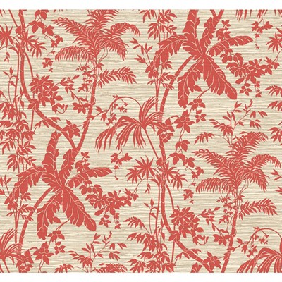 York Wallcovering PALM SHADOW                    coral, cream, beige
