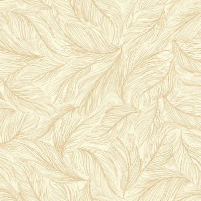 York Wallcovering Light As A Feather Wallpaper off-white, metallic gold
