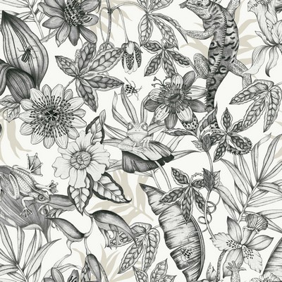 York Wallcovering Rainforest White & Charcoal