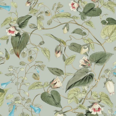 York Wallcovering Moon Flower Dove