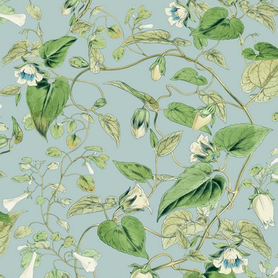 York Wallcovering Moon Flower Sky Blue