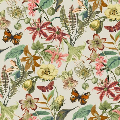 York Wallcovering Butterfly House Light Taupe & Coral