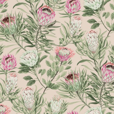 York Wallcovering Protea Blush