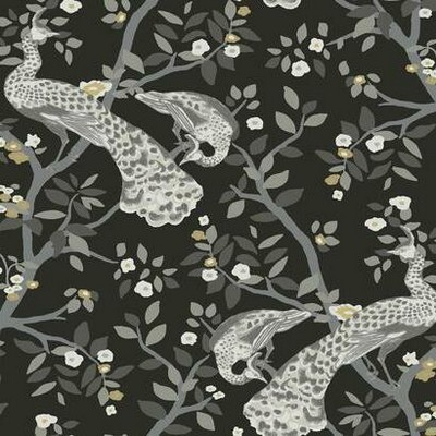 York Wallcovering Plume Wallpaper Black/Gold