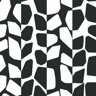 York Wallcovering Primitive Vines Wallpaper Black/White