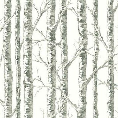 York Wallcovering Paper Birch Wallpaper White/Gray