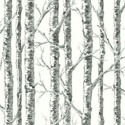 York Wallcovering Paper Birch Wallpaper Black/White