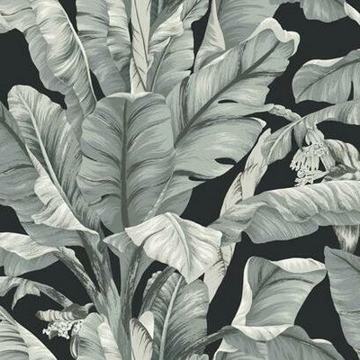 York Wallcovering Banana Leaf Wallpaper Black/White