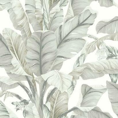 York Wallcovering Banana Leaf Wallpaper White/Cream