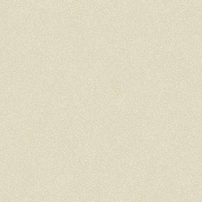 York Wallcovering Sprite Wallpaper cream/gray
