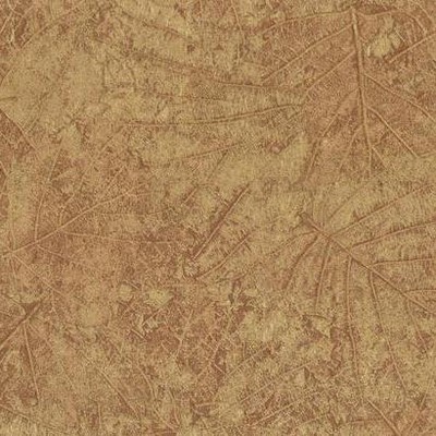York Wallcovering Tossed Leaves Wallpaper Browns