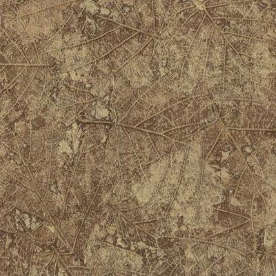 York Wallcovering Tossed Leaves Wallpaper Browns