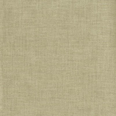 York Wallcovering Candice Olson Moonstruck Expectation Wallpaper Greens