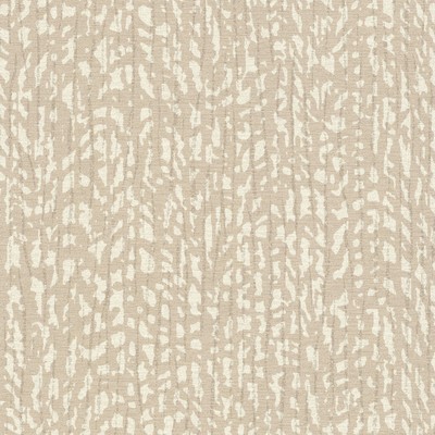 York Wallcovering Palm Grove Wallpaper Beiges