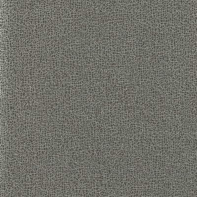 York Wallcovering Sweet Birch Wallpaper Blacks