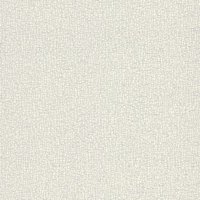 York Wallcovering Sweet Birch Wallpaper White/Off Whites
